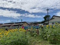 IMG_2046~photo.jpg
